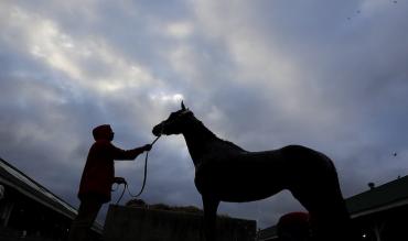 Sprint Cup Haydock tips