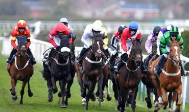 Trends and statistics on Haydock Betfair Chase