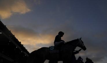 Fighting Fifth hurdle statistics
