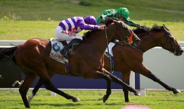 Racing statistics Savills Chase