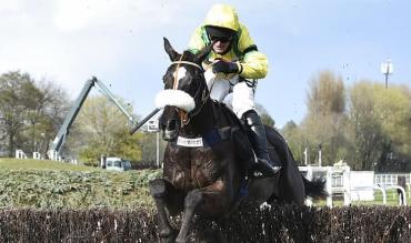 Ladbrokes Trophy statistics