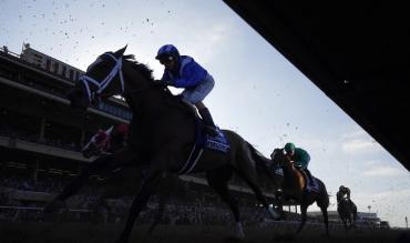 Trends International Hurdle Cheltenham