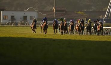 Statistics Clarence House Chase