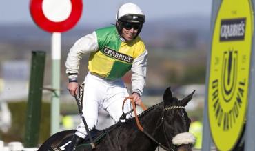 Cotswold Chase: Trends