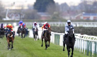 Golden Cygnet Novice Hurdle trends