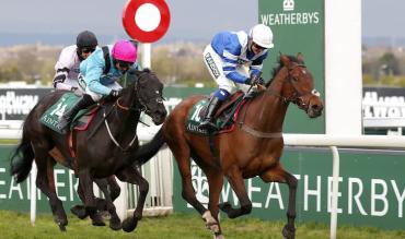 Dublin Racing Festival Novice Hurdle Trends