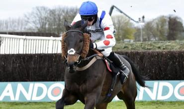 Horse racing cheekpieces