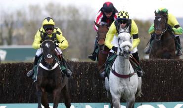 What is a horse tracker