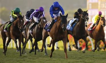 What is draw bias in racing