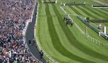 Gaillard du Mesnil National Hunt Chase contender