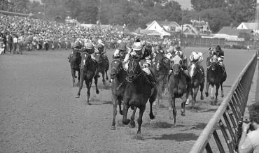 My Favourite Racehorse Remembering The Great Chaplins Club