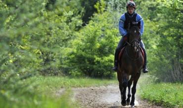 Horse racing racecourse