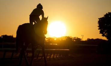 Point to Point graduates jumps season