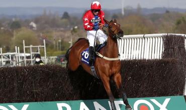 Gary Moore horses in training