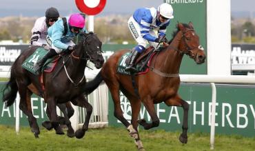 Horse racing charities