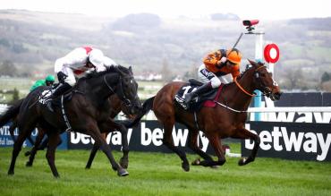 Cheltenham Festival 2023 entries