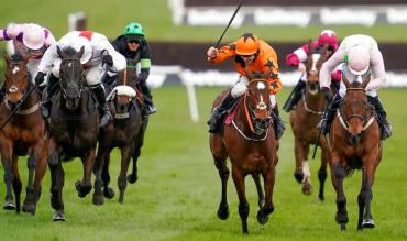 Horse Racing Sports Trends