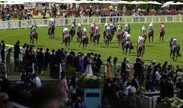 Commonwealth Cup trends