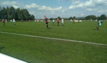 Shelley vs Steeton Tony Incenzo