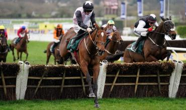 Stayers Hurdle Trends for Cheltenham