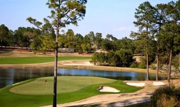 Betting Guide & Strategy for US Open Golf 2024