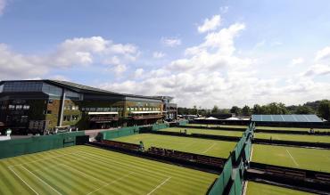 Grass Court Tennis players