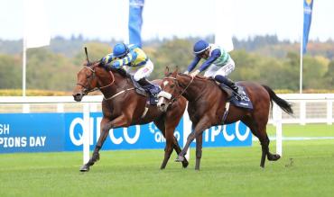 Long Distance Cup Antepost Tips