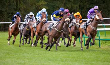 Gordon Elliott Stable Tour