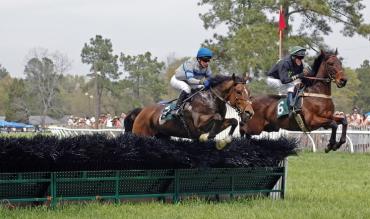 Best Horse Racing hurdlers