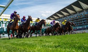 2025 Royal Ascot Results