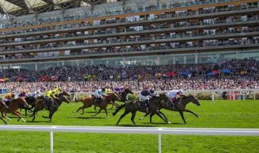 Aidan O'Brien Net Worth