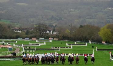 Cheltenham Tips