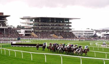 Champion Hurdle trends